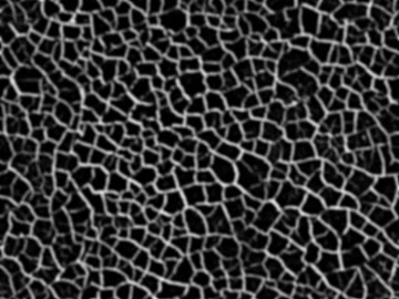 Black and White Bump texture (ID:ffaeg55204)