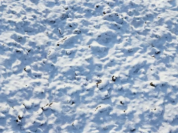 Ground-Snow 3d model