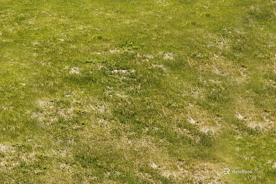 Turf texture