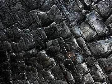 carbon burning wood carbon ash texture (ID:ffagg52738)