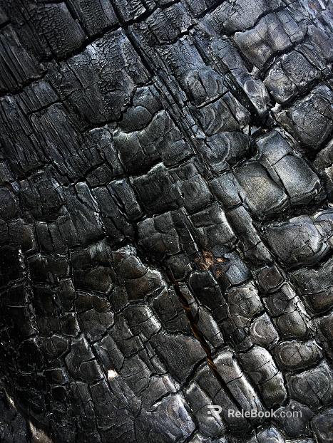 carbon burning wood carbon ash texture