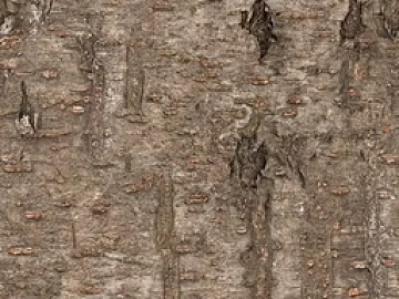 bark texture (ID:ffach551414)