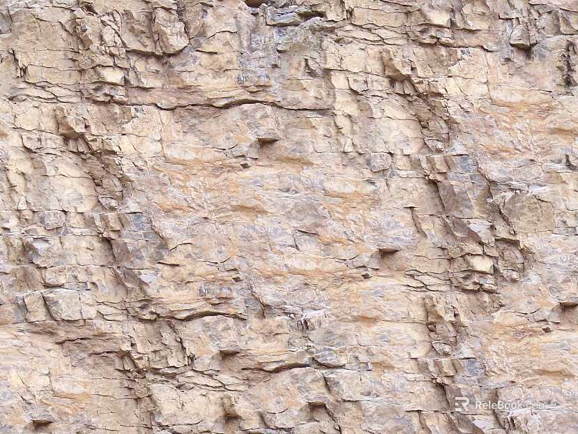 Beige Rock Outdoor Wall texture