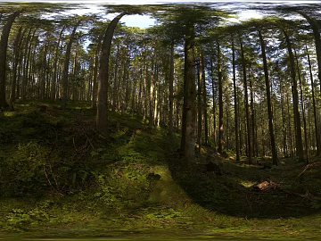 Outdoor Forest Daytime HDR 3d model