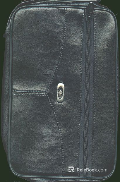 Leather Bag texture