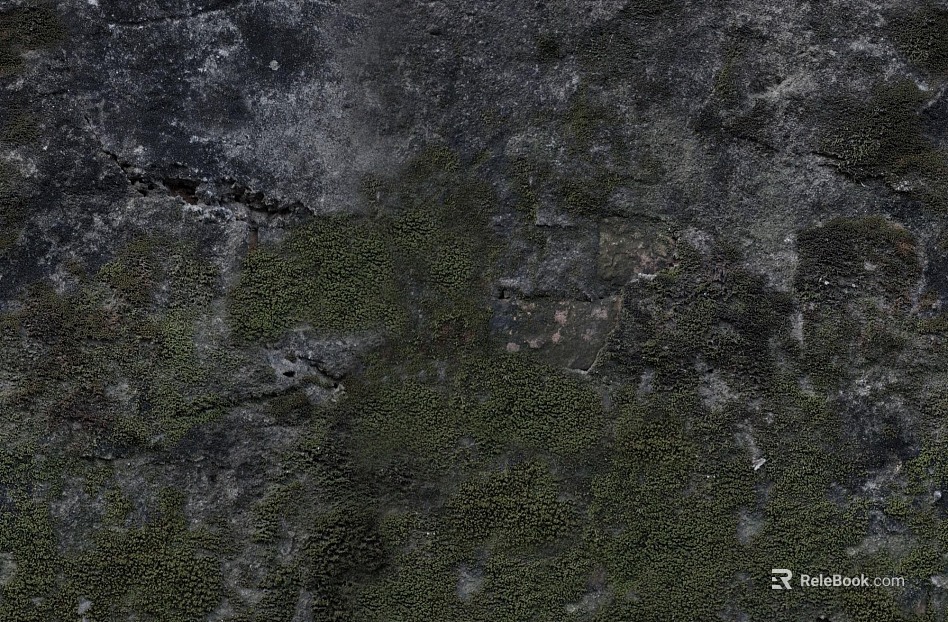 moss texture