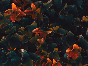 Plant painting texture (ID:ffabg01962)