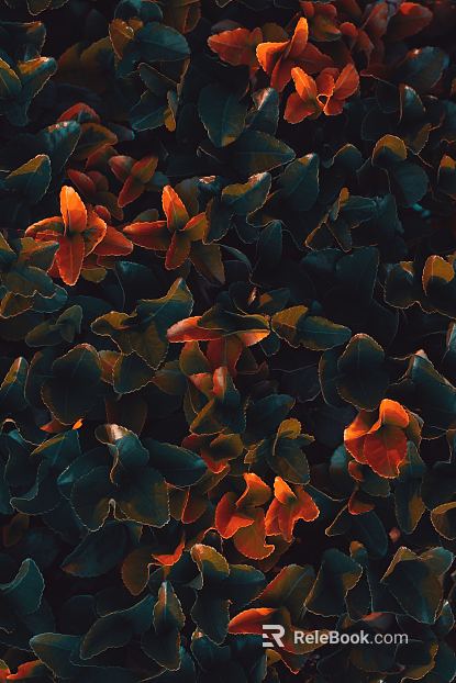 Plant painting texture