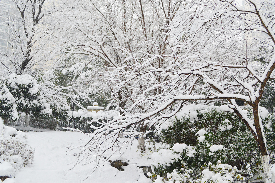 Snow texture