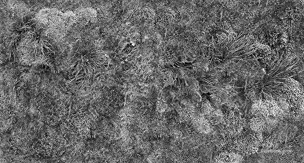 Black and White Bump texture