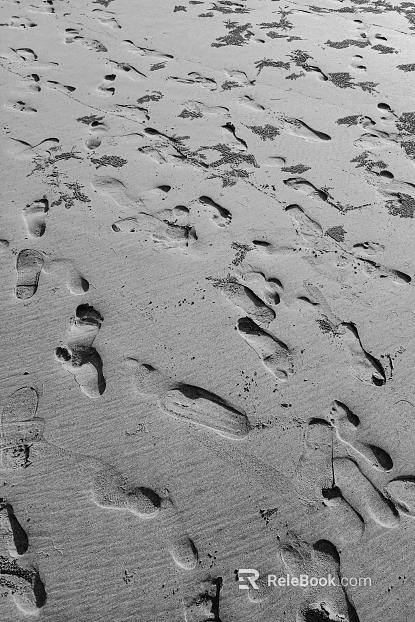 Sand texture