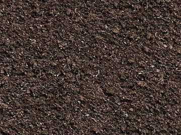 Mud 3d model