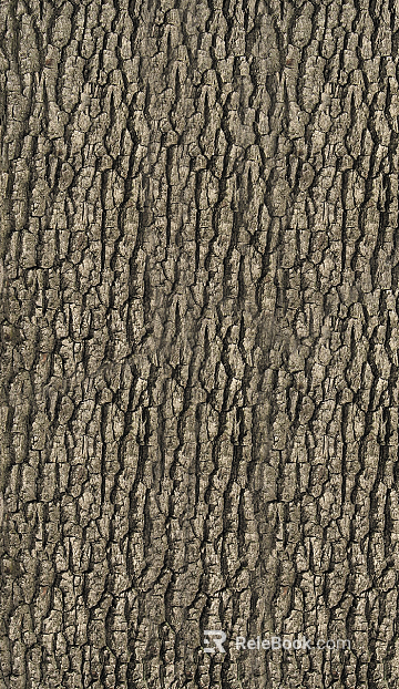 bark texture