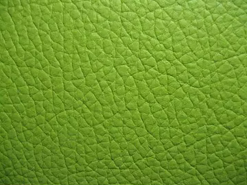 Coarse-grain leather 3d model