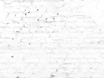 Black and White Bump 3d model