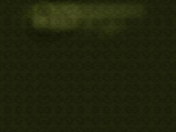 fine grain leather texture (ID:ffaef5115)