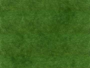 Turf texture (ID:ffagg02725)