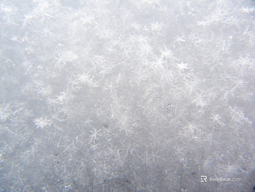 Snow texture