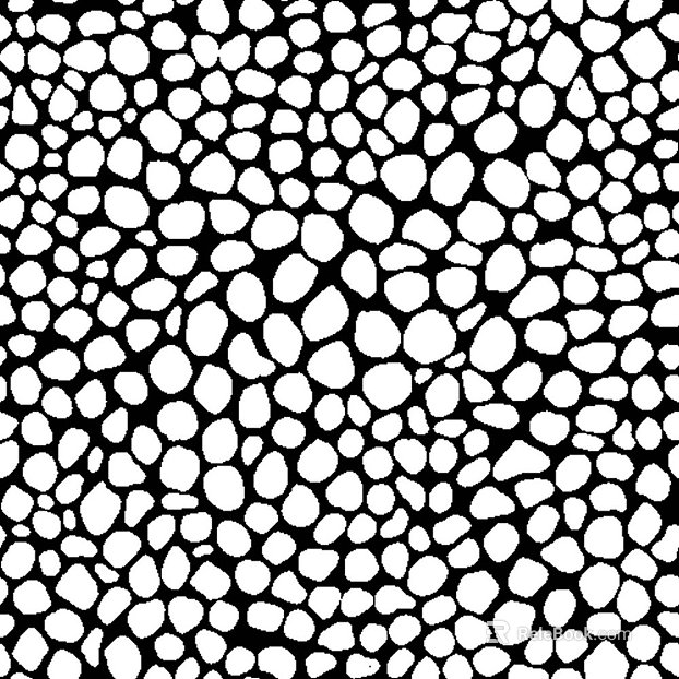 Black and White Bump texture