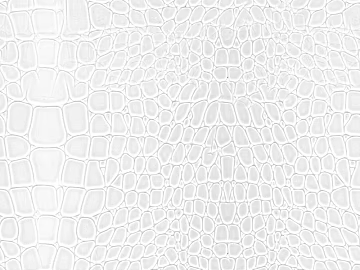 Black and White Bump texture (ID:ffabg71878)