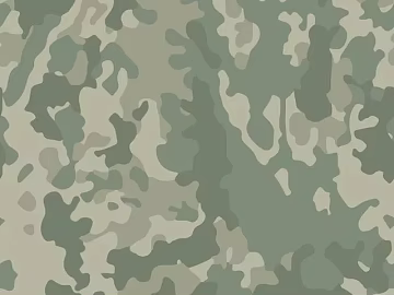Camouflage texture (ID:ffhie952)