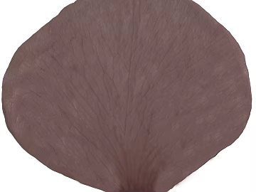 leaves texture (ID:ffacg72580)