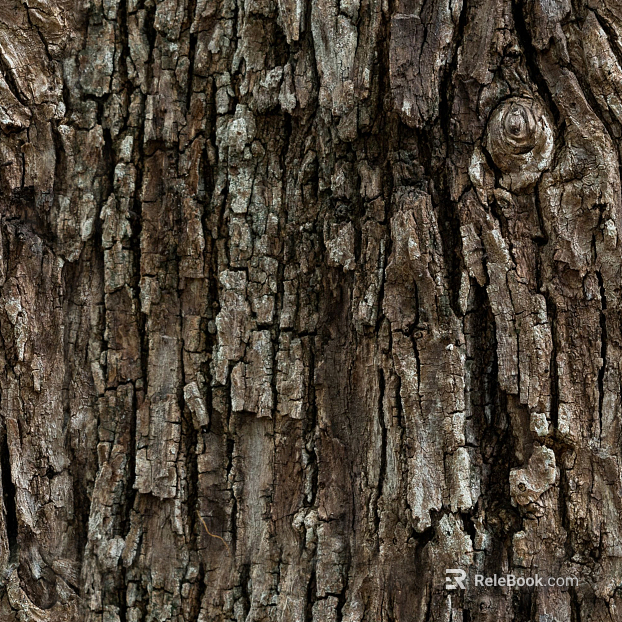 Wooden bark wood veneer wood wood bark trees texture
