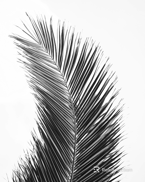 black and white painting texture