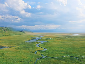 Wild Scenery texture (ID:ffaeg32978)