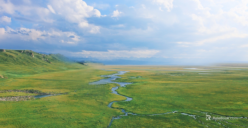 Wild Scenery texture