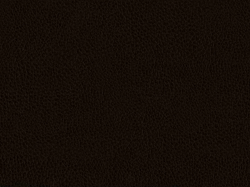 fine grain leather texture (ID:ffajf4893)