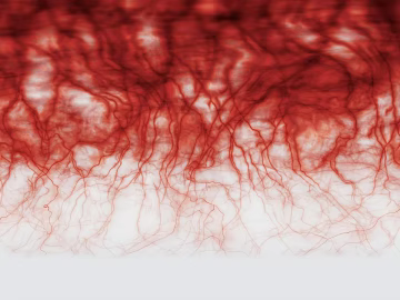 Red and White Vessel Texture Map texture (ID:ffaeh101276)