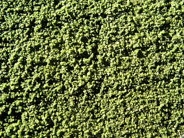 Stone texture (ID:ffabg71375)