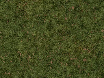 Turf texture (ID:ffajg73181)