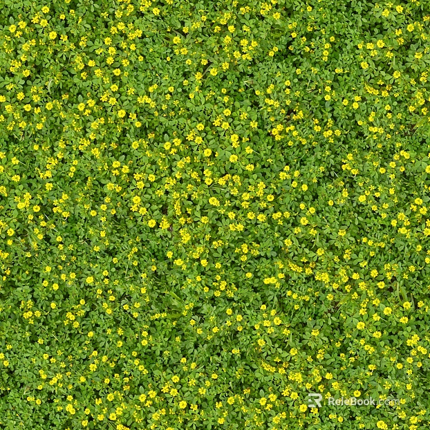Turf ground texture