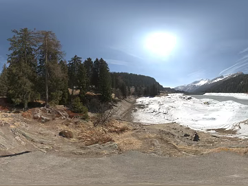 Outdoor Winter Snow Forest HDR texture (ID:ffabg81591)