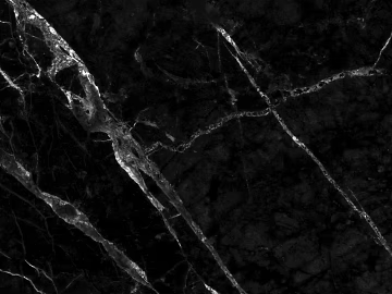 Black Golden Flower Marble texture (ID:ffach817206)