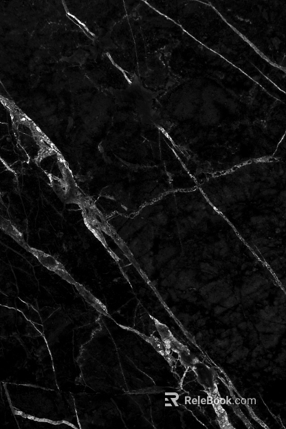 Black Golden Flower Marble texture