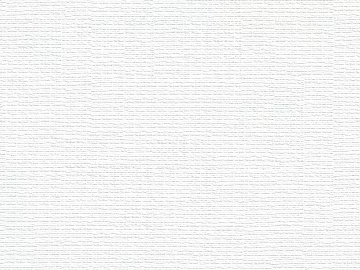 White Plain Texture Paint Wall Coating texture (ID:ffaeh781194)