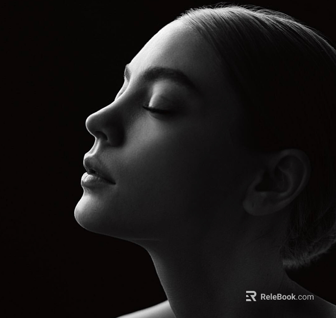 Black and White Portrait Photography texture