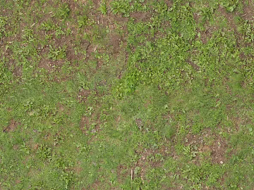 Turf texture (ID:ffach858565)