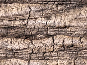 ancient tree bark texture (ID:ffacg61006)