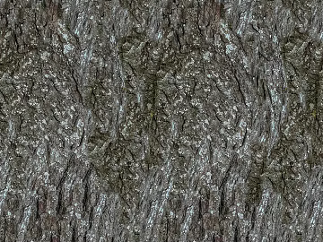 bark texture (ID:ffagh079736)