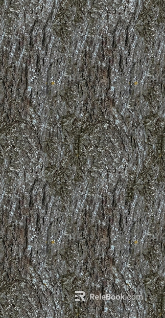 bark texture