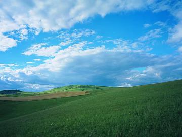 Wild Scenery texture (ID:ffacg94263)