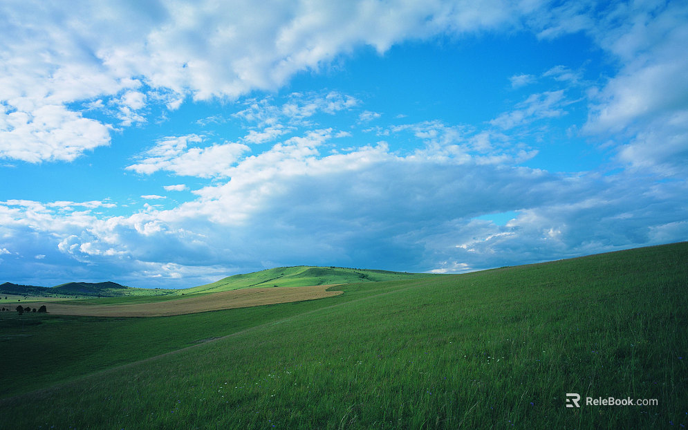 Wild Scenery texture