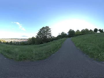 Outdoor Mountain Trails Lawn Daytime HDR texture (ID:ffabg00161)