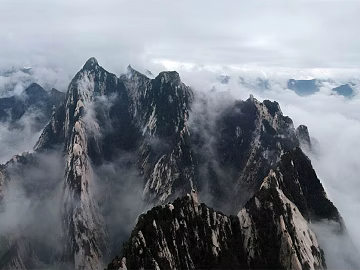 Wild Scenery texture (ID:ffagg60913)