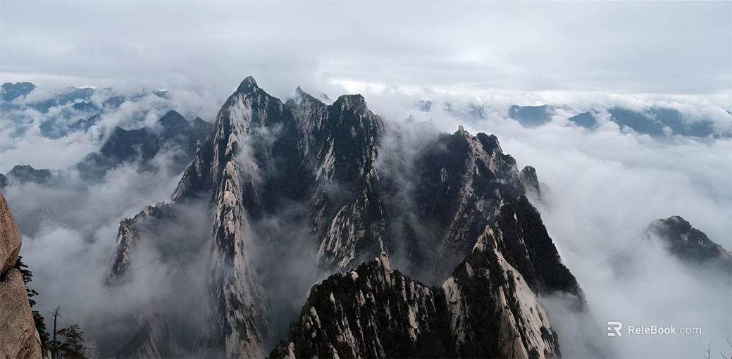 Wild Scenery texture