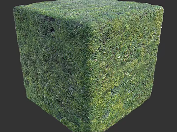 Grassland PBR texture (ID:ffach516851)